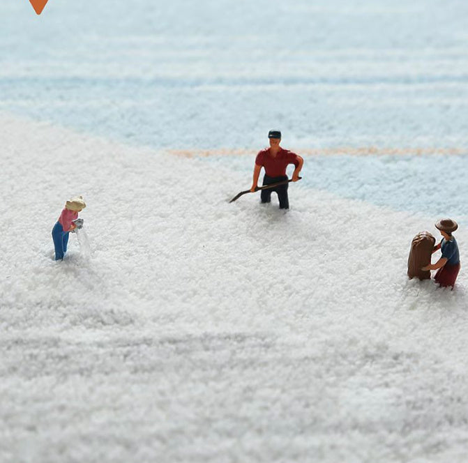 Bathroom Non-slip Floor Mat Bathroom Absorbent Carpet