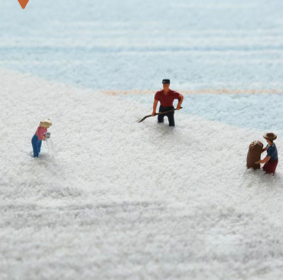 Bathroom Non-slip Floor Mat Bathroom Absorbent Carpet